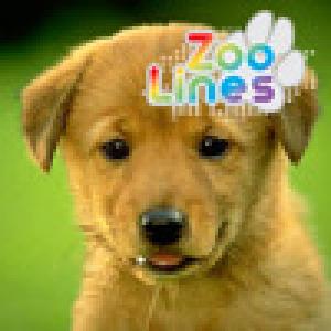  Zoo Lines (2009). Нажмите, чтобы увеличить.