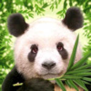  Zooloretto (2009). Нажмите, чтобы увеличить.