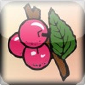  ACME Slots (2010). Нажмите, чтобы увеличить.