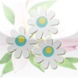  Happy Flower - BrainGame (2010). Нажмите, чтобы увеличить.