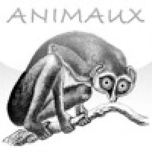  ANIMAUX (2009). Нажмите, чтобы увеличить.