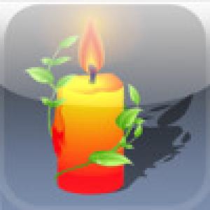  All Lights (2009). Нажмите, чтобы увеличить.