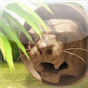  Amazon Survival (2009). Нажмите, чтобы увеличить.