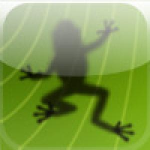  Ancient Frog (2009). Нажмите, чтобы увеличить.