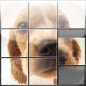  Animal Puzzle (2009). Нажмите, чтобы увеличить.