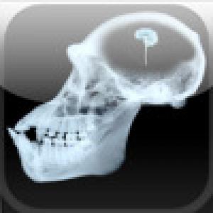  Beer Memory (2009). Нажмите, чтобы увеличить.