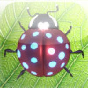  Buggled (2008). Нажмите, чтобы увеличить.