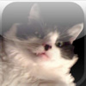  CatDoku - Cat Sudoku (2009). Нажмите, чтобы увеличить.