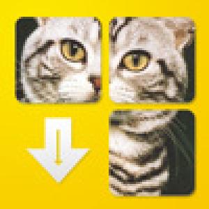  CatPuzzle (2009). Нажмите, чтобы увеличить.