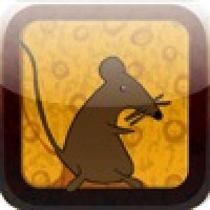  Cheese Party (2009). Нажмите, чтобы увеличить.