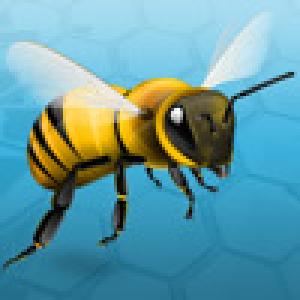  Crazy Bee2 (2009). Нажмите, чтобы увеличить.