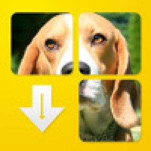  DogPuzzle (2009). Нажмите, чтобы увеличить.