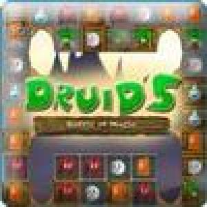  Druids: Battle of Magic (2006). Нажмите, чтобы увеличить.