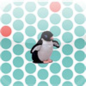  Escaping Pet (2009). Нажмите, чтобы увеличить.