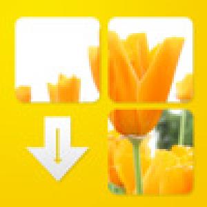  FlowerPuzzle (2009). Нажмите, чтобы увеличить.