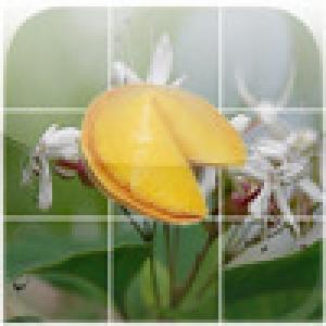  Fortune Slide (2009). Нажмите, чтобы увеличить.