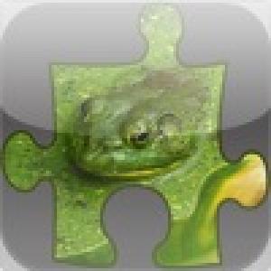  Frog Jig (2010). Нажмите, чтобы увеличить.