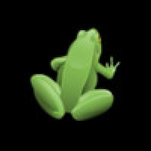  Frog Leap Puzzle (2010). Нажмите, чтобы увеличить.