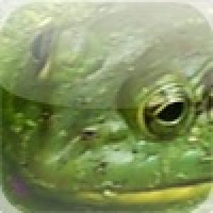  Frog Slide (2010). Нажмите, чтобы увеличить.