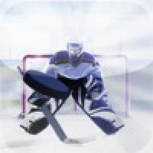  Hockey Goalie Slide Puzzle (2010). Нажмите, чтобы увеличить.