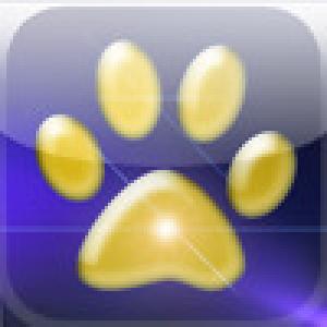  Idioms Expert (2009). Нажмите, чтобы увеличить.