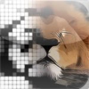  iCon Logic (2010). Нажмите, чтобы увеличить.