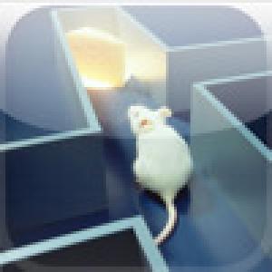  iMaze on myHIP (2008). Нажмите, чтобы увеличить.