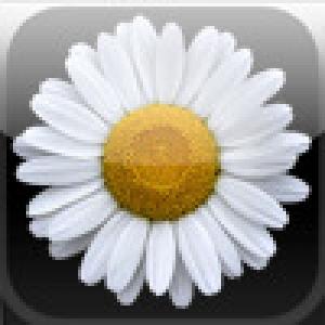  Kraut (2008). Нажмите, чтобы увеличить.