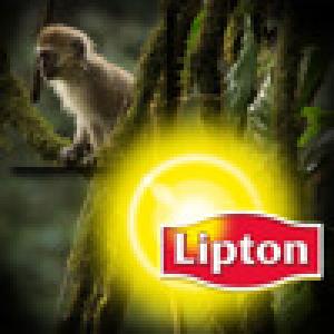  Lipton: Jigsaw (2009). Нажмите, чтобы увеличить.