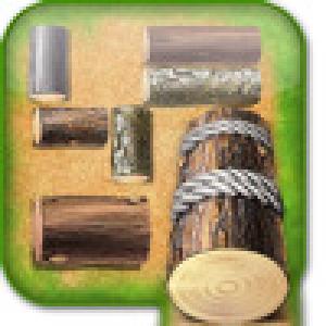  Log Puzzle (2009). Нажмите, чтобы увеличить.