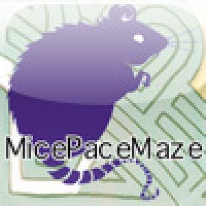  MicePaceMaze Squares (2009). Нажмите, чтобы увеличить.