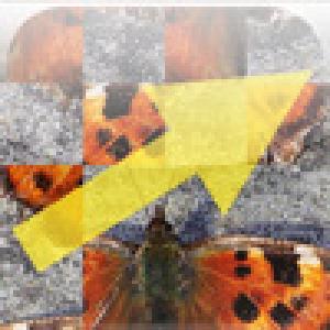  Moving Puzzle (2009). Нажмите, чтобы увеличить.