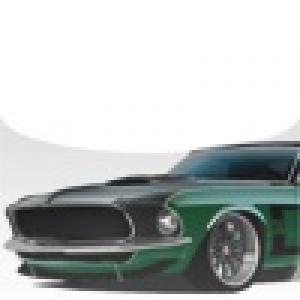  Mustang Concentration (2010). Нажмите, чтобы увеличить.