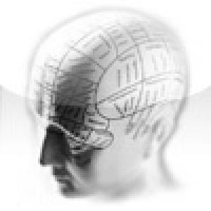  Number 24 brain Challenge training (2009). Нажмите, чтобы увеличить.