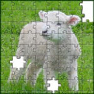  PhoPuz (2009). Нажмите, чтобы увеличить.