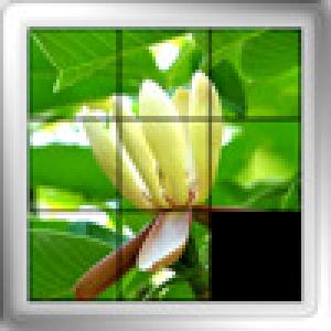  Picturati (2009). Нажмите, чтобы увеличить.