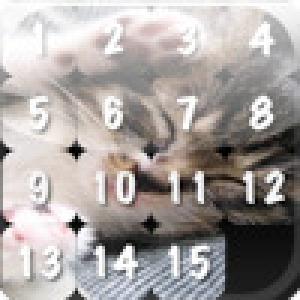  Picture 15 (2008). Нажмите, чтобы увеличить.