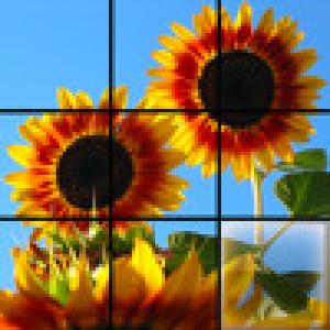  Picture Slider (2009). Нажмите, чтобы увеличить.