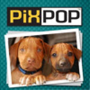  PixPop Dogs (2009). Нажмите, чтобы увеличить.