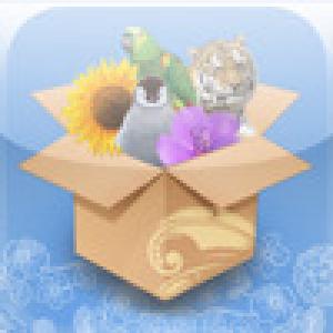  Puzzler (2009). Нажмите, чтобы увеличить.