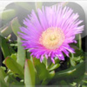  Recompose ME (2009). Нажмите, чтобы увеличить.