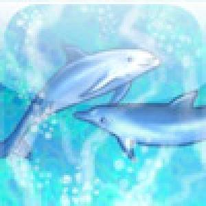  Same Pets (2009). Нажмите, чтобы увеличить.