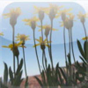  Sequember (2009). Нажмите, чтобы увеличить.