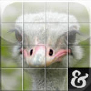  Slide Shou - Slideit (2009). Нажмите, чтобы увеличить.