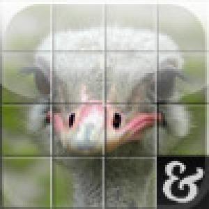  SlideIt (2009). Нажмите, чтобы увеличить.