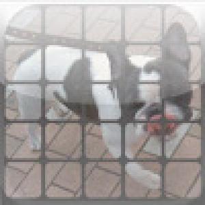  SlidePanel (2008). Нажмите, чтобы увеличить.