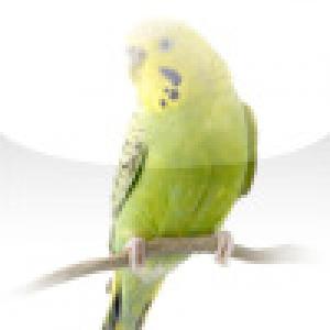  SlidePuzzle - Budgie (2009). Нажмите, чтобы увеличить.