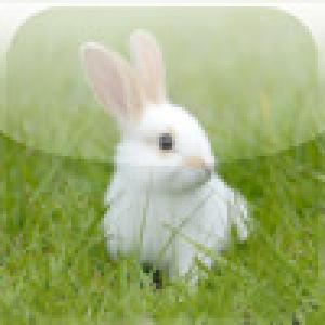  SlidePuzzle - Bunny (2009). Нажмите, чтобы увеличить.