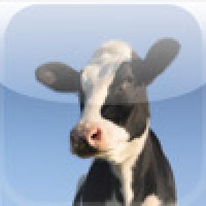  SlidePuzzle - Cow (2009). Нажмите, чтобы увеличить.