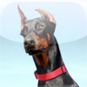  SlidePuzzle - Doberman (2009). Нажмите, чтобы увеличить.